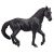 Mojo Horse s Leluhevonen Andalusian ori musta